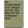 Die Bruderschaft vom Heiligen Gral 03. Das Labyrinth der schwarzen Abtei door Rainer M. Schröder