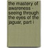 The Mastery of Awareness - Seeing Through the Eyes of the Jaguar, Part I