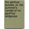 The Spiritual Quixote, Or, The Summer's Ramble Of Mr. Geoffrey Wildgoose by Richard Graves