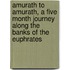 Amurath to Amurath, a Five Month Journey Along the Banks of the Euphrates