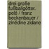 Drei große Fußballgötter. Pelé / Franz Beckenbauer / Zinédine Zidane