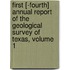 First [-Fourth] Annual Report Of The Geological Survey Of Texas, Volume 1