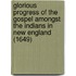 Glorious Progress Of The Gospel Amongst The Indians In New England (1649)