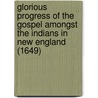 Glorious Progress Of The Gospel Amongst The Indians In New England (1649) by Edward Winslow