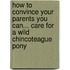 How To Convince Your Parents You Can... Care for a Wild Chincoteague Pony
