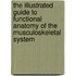 The Illustrated Guide To Functional Anatomy Of The Musculoskeletal System