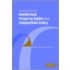 The Interface Between Intellectual Property Rights And Competition Policy