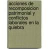 Acciones de Recomposicion Patrimonial y Conflictos Laborales En La Quiebra door Efrain Hugo Richard