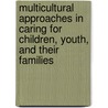 Multicultural Approaches in Caring for Children, Youth, and Their Families door Thanh Tran
