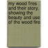 My Wood Fires And Their Story, Showing The Beauty And Use Of The Wood Fire