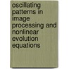 Oscillating Patterns In Image Processing And Nonlinear Evolution Equations door Yves Meyer
