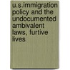 U.S.Immigration Policy And The Undocumented Ambivalent Laws, Furtive Lives door Helene Hayes