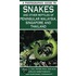 A Photographic Guide To Snakes Of Peninsular Malaysia, Singapore & Thailand