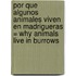 Por Que Algunos Animales Viven en Madrigueras = Why Animals Live in Burrows