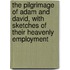 The Pilgrimage Of Adam And David, With Sketches Of Their Heavenly Employment