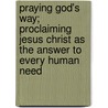 Praying God's Way; Proclaiming Jesus Christ as the Answer to Every Human Need door Evelyn Carol Christenson