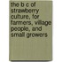 The B C Of Strawberry Culture, For Farmers, Village People, And Small Growers