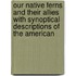 Our Native Ferns And Their Allies With Synoptical Descriptions Of The American