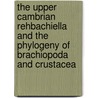 The Upper Cambrian Rehbachiella And The Phylogeny Of Brachiopoda And Crustacea by Dieter Walossek