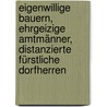 Eigenwillige Bauern, ehrgeizige Amtmänner, distanzierte fürstliche Dorfherren door Heinrich Kaak