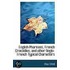 English Pharisees, French Crocodiles, And Other Anglo-French Typical Characters