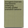 Extrageniculostriate Mechanisms Underlying Visually-Guided Orientation Behavior door Onbekend