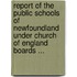 Report Of The Public Schools Of Newfoundland Under Church Of England Boards ...