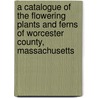 A Catalogue Of The Flowering Plants And Ferns Of Worcester County, Massachusetts door Joseph Jackson