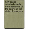 New Cases Selected Chiefly From Decisions Of The Courts Of The State Of New York door James MacGregor Smith