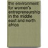 The Environment For Women's Entrepreneurship In The Middle East And North Africa
