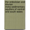 The Ordovician And Silurian Meta-Sedimentary Aquifers Of Central And South Wales door British Geological Survey