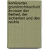 Kohärenter Grundrechtsschutz im Raum der Freiheit, der Sicherheit und des Rechts