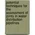 Potential Techniques for the Assessment of Joints in Water Distribution Pipelines