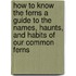 How To Know The Ferns A Guide To The Names, Haunts, And Habits Of Our Common Ferns