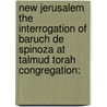 New Jerusalem the Interrogation of Baruch De Spinoza at Talmud Torah Congregation: door David Ives