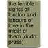 The Terrible Sights Of London And Labours Of Love In The Midst Of Them (Dodo Press)