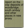 Report On The Clay Deposits Of Woodbridge, South Amboy And Other Places In New Jersey door Survey New Jersey Geol