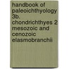Handbook of Paleoichthyology 3B. Chondrichthyes 2 Mesozoic and Cenozoic Elasmobranchii door H. Cappetta