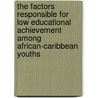 The Factors Responsible For Low Educational Achievement Among African-Caribbean Youths door Cajetan Iwunze