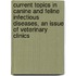 Current Topics In Canine And Feline Infectious Diseases, An Issue Of Veterinary Clinics