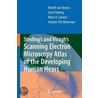 Steding's and Viragh's Scanning Electron Microscopy Atlas of the Developing Human Heart by R.J. Oostra