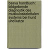 Bsava Handbuch: Bildgebende Diagnostik Des Muskuloskelettalen Systems Bei Hund Und Katze by Robert M. Kirberger