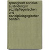 Sprungbrett Soziales: Ausbildung in sozialpflegerischen und sozialpädagogischen Berufen door Gregor Schöffel