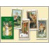 Tarot of Druids/Tarot de Los Druidas/Druiden Tarot/Tarot Des Druides/Tarocchi Dei Druidi