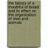 The History Of A Mouthful Of Bread And Its Effect On The Organization Of Men And Animals