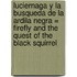 Luciernaga y la Busqueda de la Ardila Negra = Firefly and the Quest of the Black Squirrel