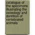 Catalogue Of The Specimens Illustrating The Osteology And Dentition Of Vertebrated Animals