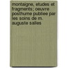 Montaigne, Etudes Et Fragments; Oeuvre Posthume Publiee Par Les Soins De M. Auguste Salles door M. Auguste Salles