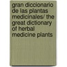 Gran diccionario de las plantas medicinales/ The Great Dictionary of Herbal Medicine Plants by Gloria Garrido