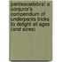 Pantsacadabra! A Conjuror's Compendium Of Underpants Tricks To Delight All Ages (And Sizes)